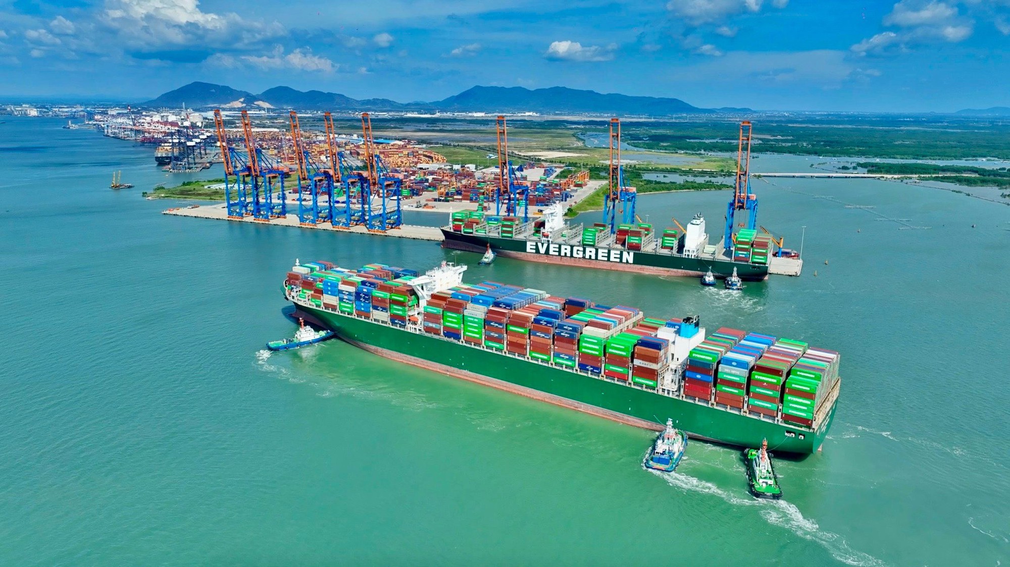 Chi 22 tỷ một tháng cho tiền vận chuyển hàng, ‘vua tiêu’ nói: Không thể tưởng tượng được! - Ảnh 2.