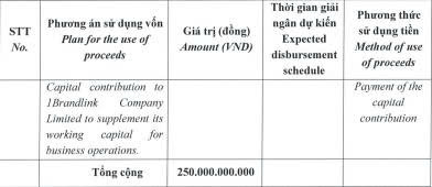 Yeah1 dự kiến chào bán 25 triệu cổ phiếu riêng lẻ cho 3 nhà đầu tư- Ảnh 3.
