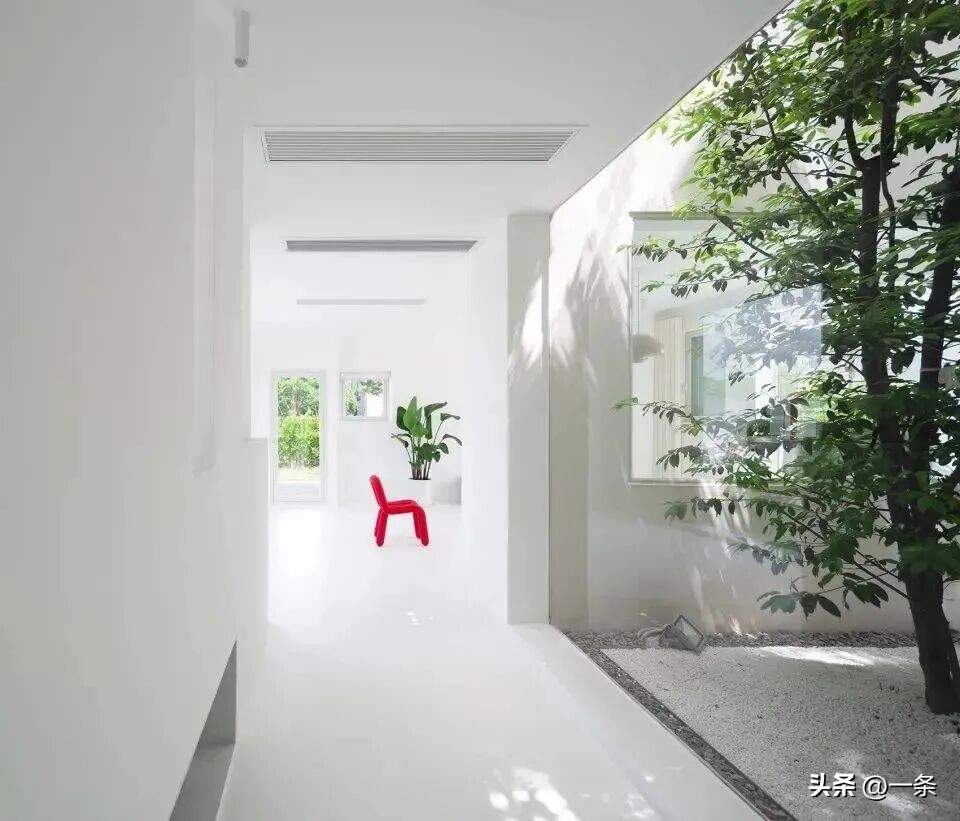 Chi 7 tỷ đồng xây biệt thự trắng giữa vùng quê: Cặp vợ chồng khiến cả làng ngỡ ngàng, nhưng điều đáng giá nhất lại không nằm ở ngôi nhà- Ảnh 19.