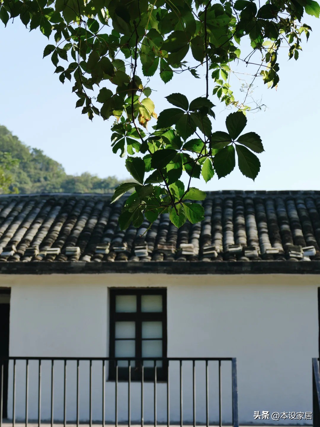 Bỏ phố về quê sau 10 năm làm việc kiệt sức, cặp vợ chồng cải tạo ngôi nhà trăm tuổi: Cuộc sống bình yên khiến ai xem cũng ao ước- Ảnh 1.