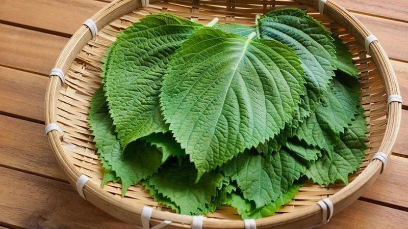 5 loại rau tốt nhất mùa hè: Loại 1 dân dã, có đầy chợ Việt, 100 bác sĩ Nhật đồng loạt đưa lời khen- Ảnh 3.