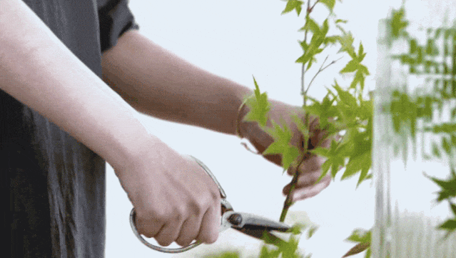 Chi 7 tỷ đồng xây biệt thự trắng giữa vùng quê: Cặp vợ chồng khiến cả làng ngỡ ngàng, nhưng điều đáng giá nhất lại không nằm ở ngôi nhà- Ảnh 24.