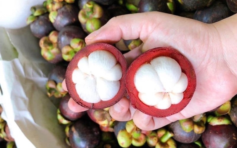 Măng cụt được ví là 
