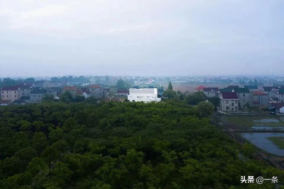 Chi 7 tỷ đồng xây biệt thự trắng giữa vùng quê: Cặp vợ chồng khiến cả làng ngỡ ngàng, nhưng điều đáng giá nhất lại không nằm ở ngôi nhà- Ảnh 7.