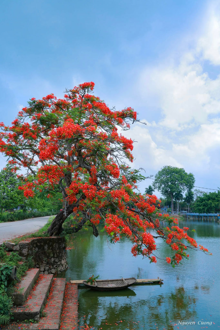 Việt Nam có nơi không cần dùng điều hòa vẫn mát lạnh, là nơi cất giấu 99 giếng cổ từ vó ngựa Thánh Gióng - Ảnh 13.