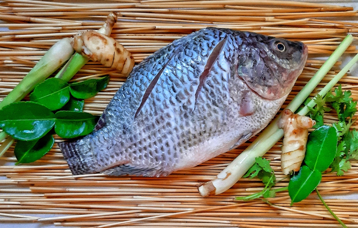Đi chợ thấy loại cá này nhớ mua ngay: Bổ dưỡng ngang cá hồi mà giá chỉ bằng 1/10- Ảnh 2.
