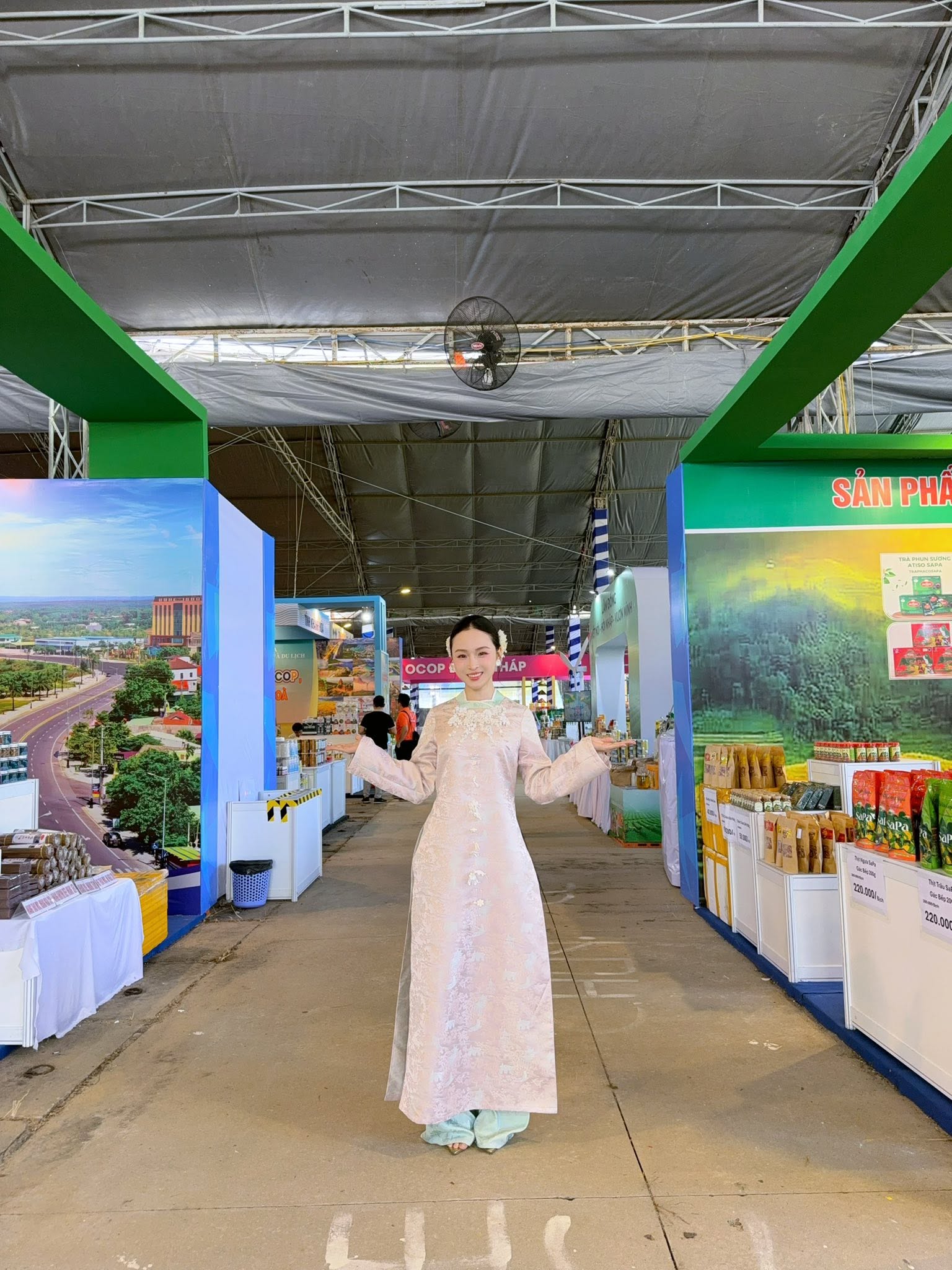 Cuộc sống thường ngày ít ai biết, khác hẳn trước kia của Trương Hồ Phương Nga- Ảnh 5.