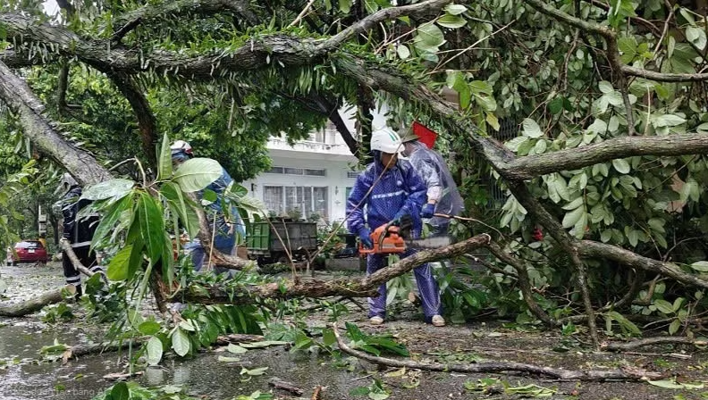 Quảng Ninh thiệt hại khoảng 20 tỷ đồng do bão số 1- Ảnh 1. Quảng Ninh thiệt hại khoảng 20 tỷ đồng do bão số 1- Ảnh 1.