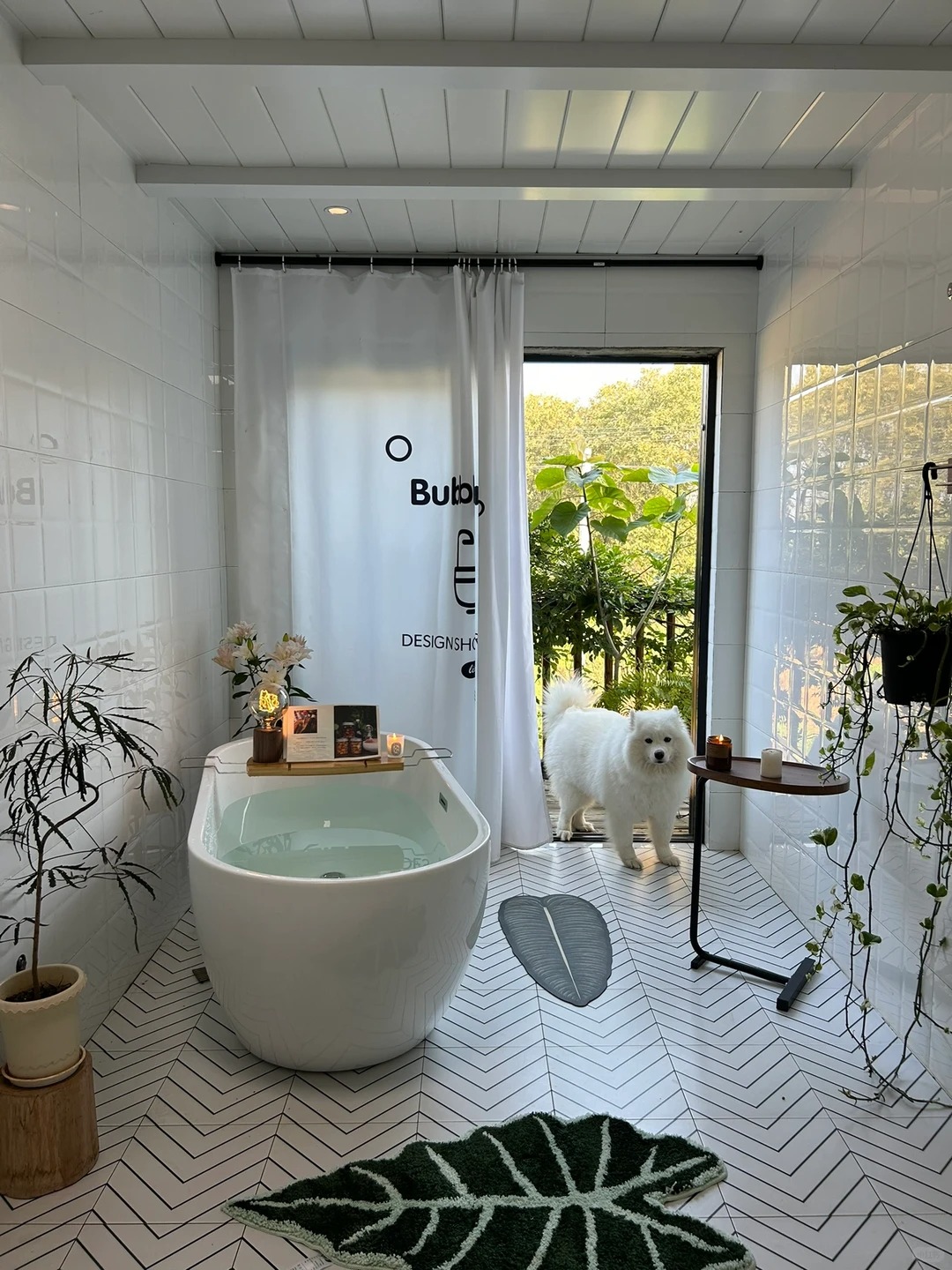 Chàng trai sống trong căn nhà như tranh vẽ với 10 con mèo, 2 con chó - Ảnh 9.