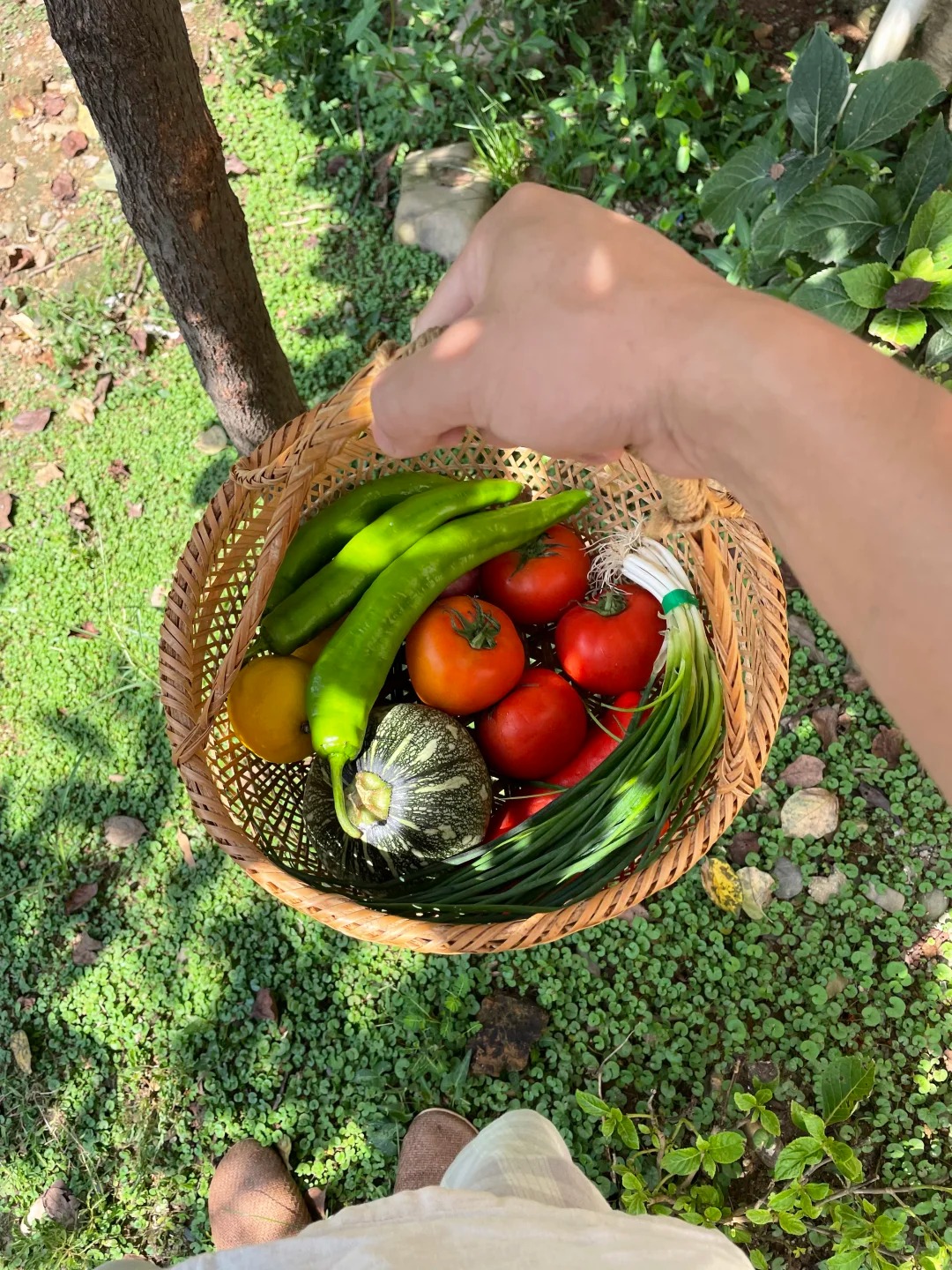 Chàng trai sống trong căn nhà như tranh vẽ với 10 con mèo, 2 con chó - Ảnh 15.