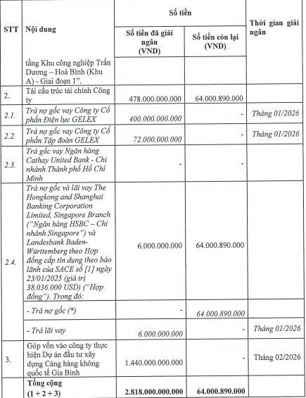 Gelex Infra chưa giải ngân xong vốn huy động từ đợt IPO - Ảnh 2.