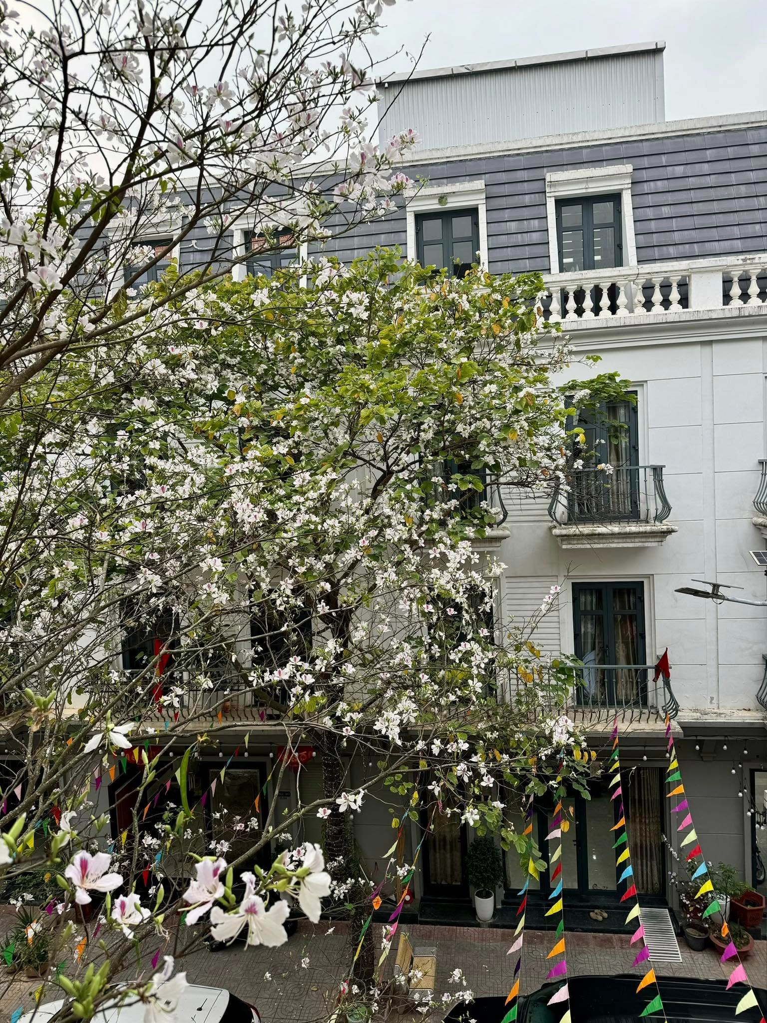 Căn nhà ở quê của mẹ vợ Cường Đô La - Ảnh 3.