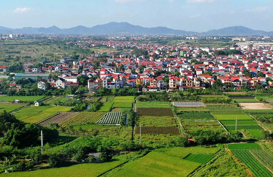 Cẩn trọng với giao dịch đất nông nghiệp bằng giấy viết tay - Ảnh 1.
