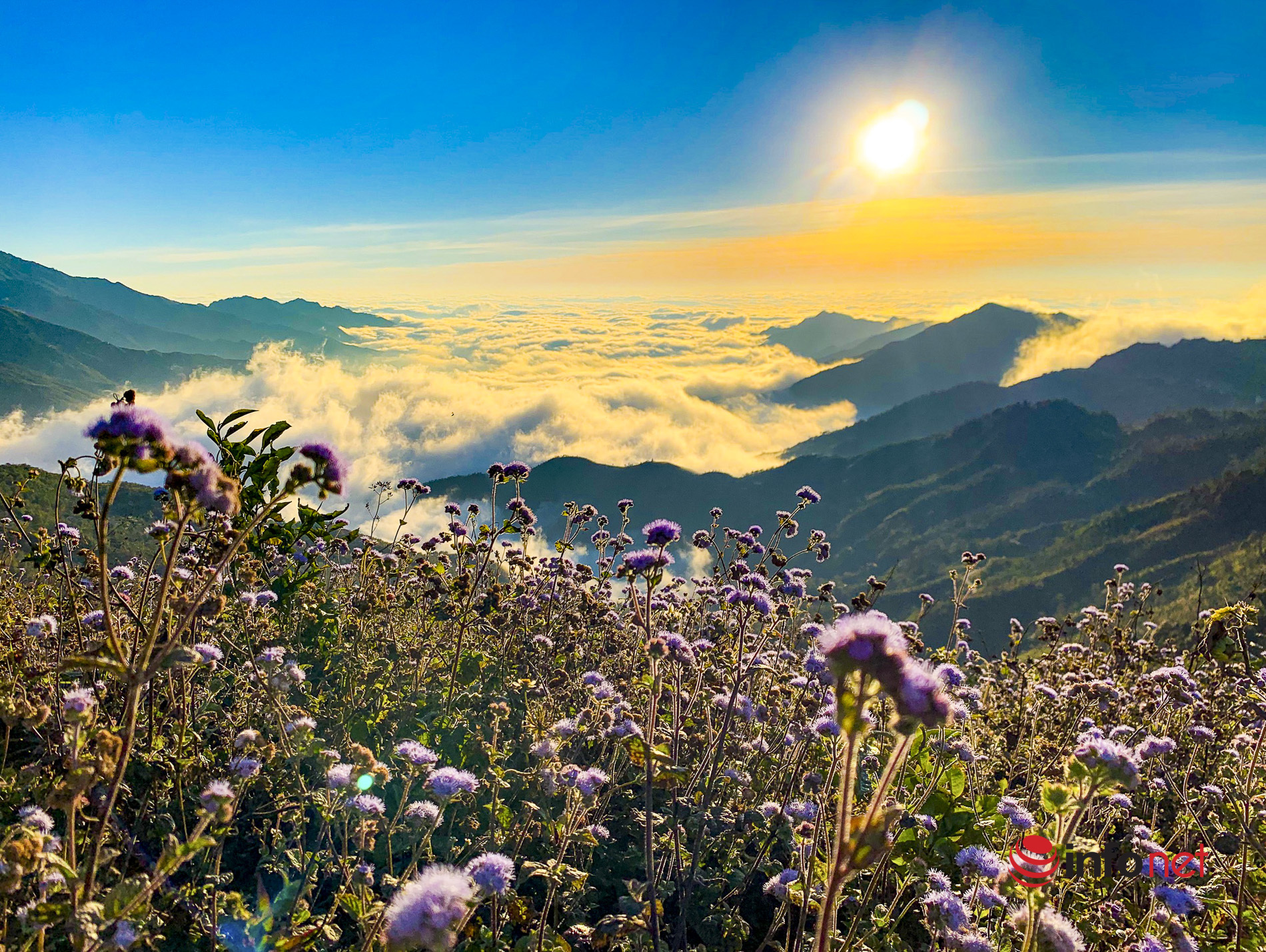 Không phải Sa Pa, 'thiên đường săn mây' Việt Nam lần đầu được thế giới gọi tên: Sánh vai Nhật Bản - Ảnh 1.