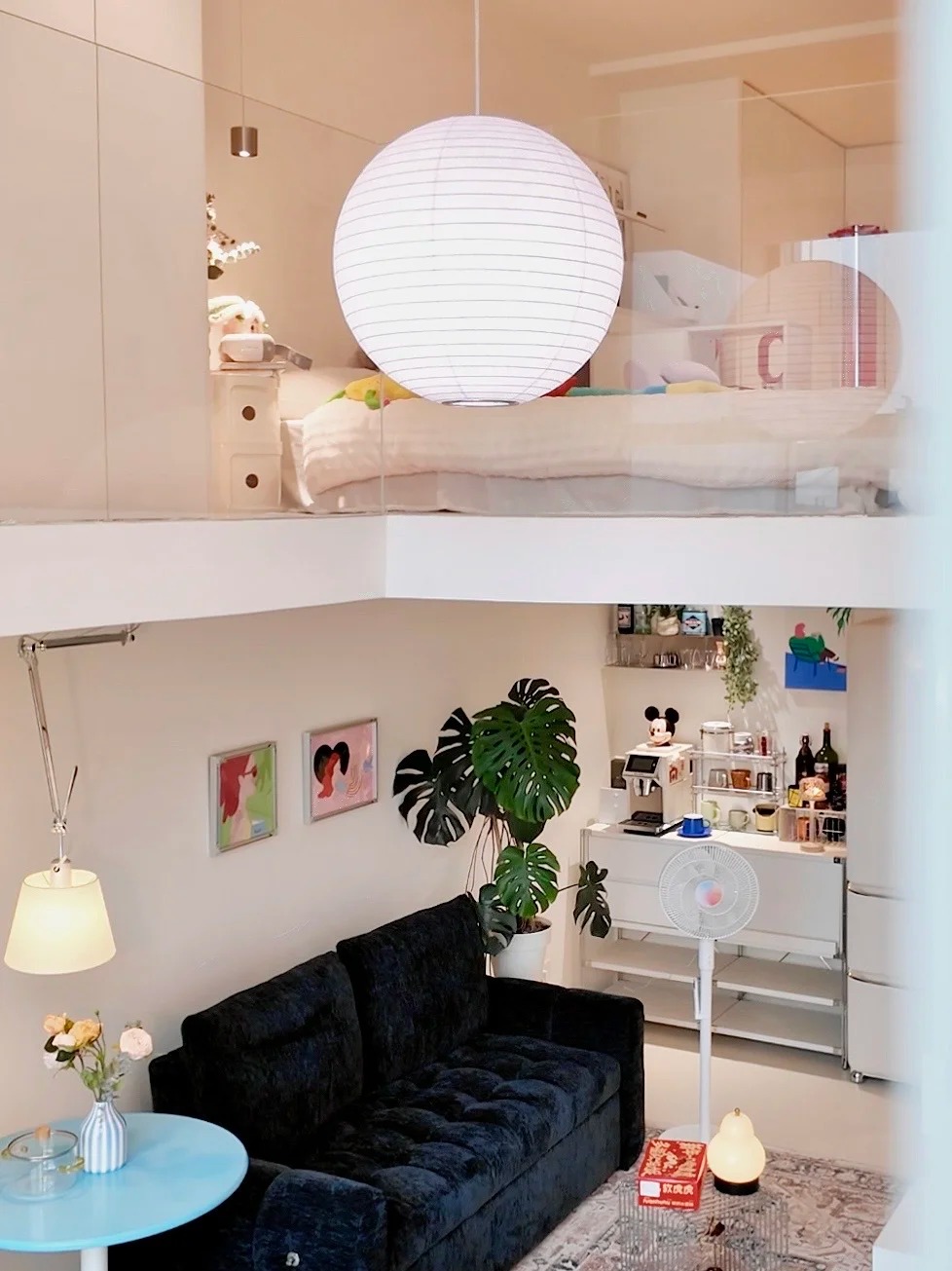 30 tuổi, mua được nhà 30m2 và ở với 2 con mèo: "Thế là đủ sống cả đời" - Ảnh 7.