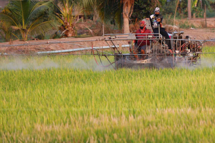 'Cơn ác mộng' mới của ngành gạo Thái Lan: 5,4 triệu tấn lúa có nguy cơ biến mất, thiệt hại gần 2 tỷ USD- Ảnh 2.