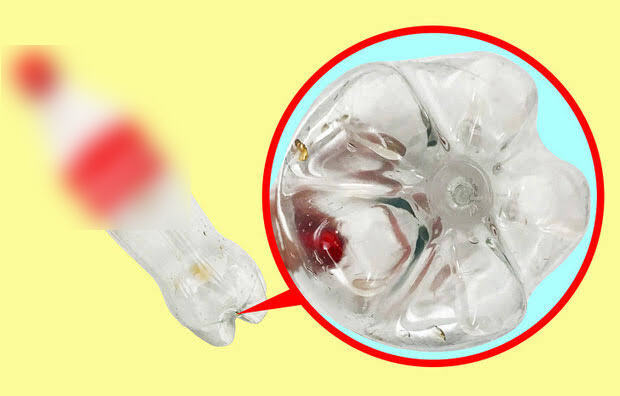 Vì sao đáy chai nước luôn lồi lõm kỳ lạ? Hóa ra không phải để trang trí- Ảnh 1.
