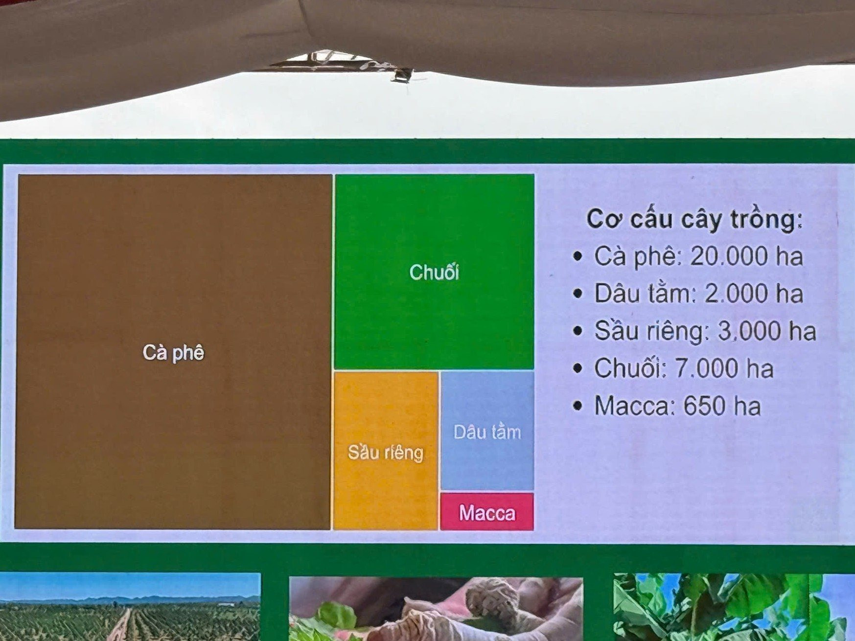 Bầu Đức động thổ cụm công nghiệp 75 ha, tạo hơn 4.500 việc làm, kết nối vùng nguyên liệu Việt Nam-Lào-Campuchia- Ảnh 4.