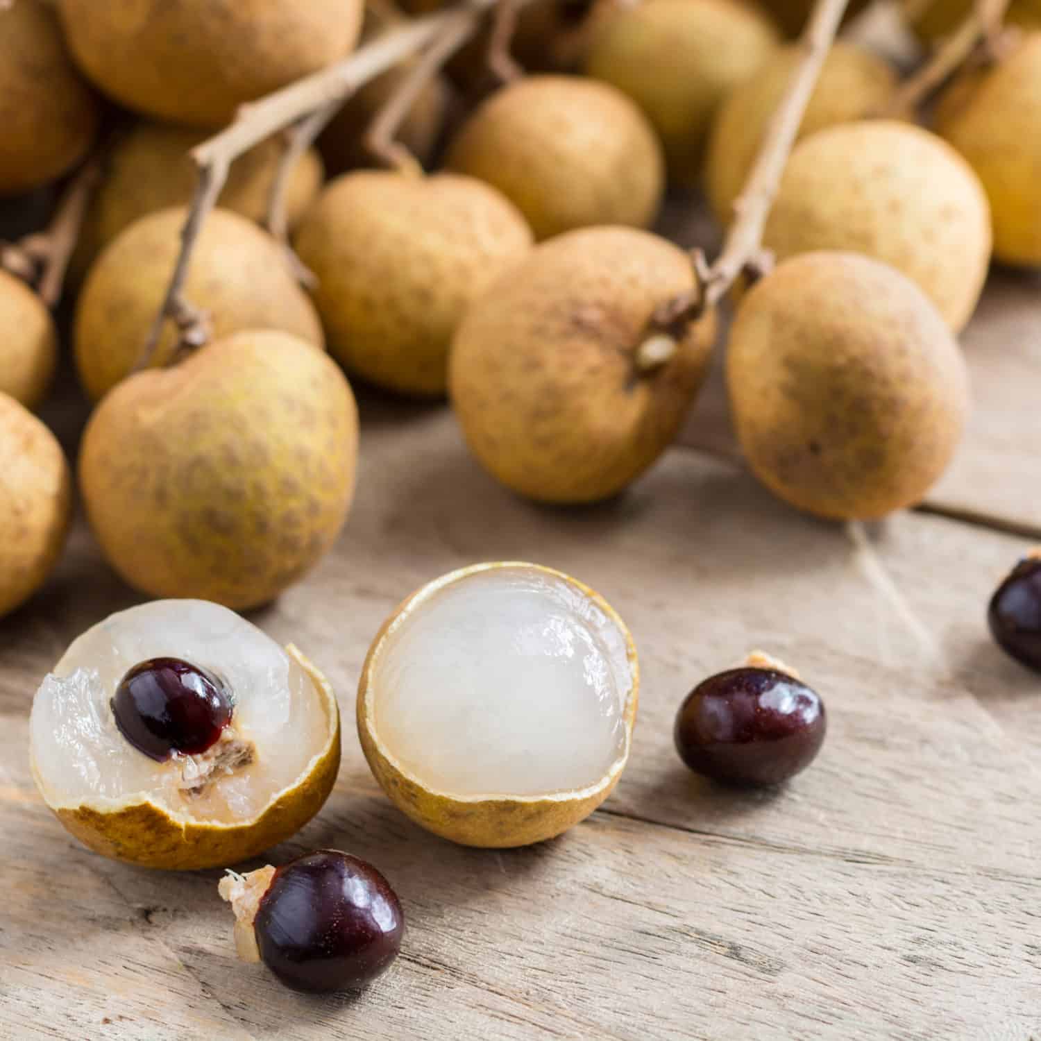 4 lý do vì sao nên trồng một cây nhãn trong sân nhà - Ảnh 1.