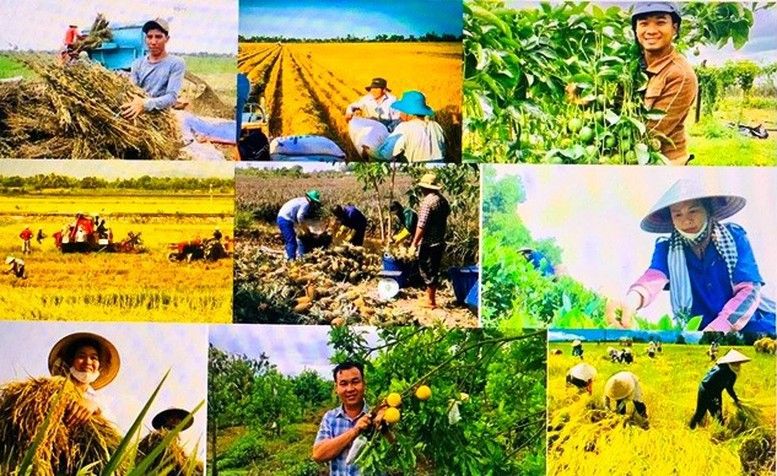 Đề xuất cắt giảm 40 thủ tục, 40 điều kiện kinh doanh trong nông nghiệp - Ảnh 1.