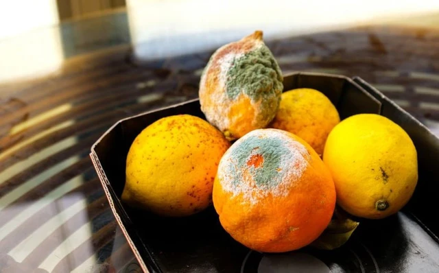 Loại hoa, quả tuyệt đối không nên để trên bàn thờ thắp hương mồng 1 Âm lịch: Nhiều nhà vô tình mắc sai lầm - Ảnh 3.