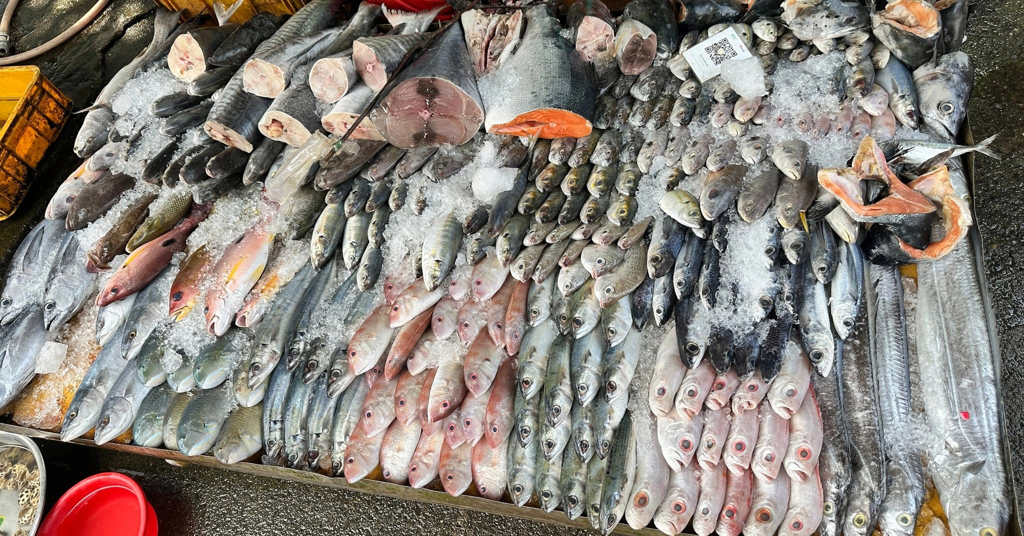 5 loại cá ngon, bổ ngang cá ngoại nhưng chỉ rẻ bằng 1 nửa, rất sẵn ở chợ Việt - Ảnh 1.