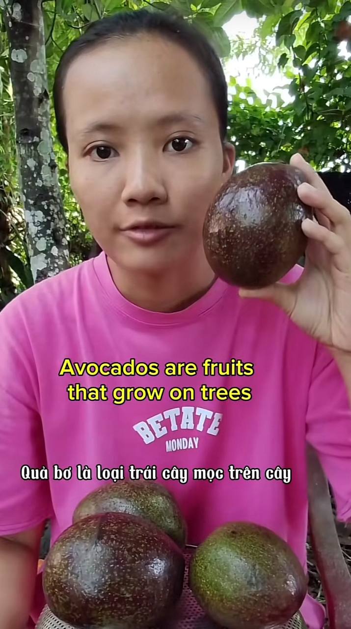 Cô gái bán trứng cút 45.000 đồng/kg nói tiếng Anh như gió, dân mạng thốt lên: “Thị trường lao động khốc liệt quá!”- Ảnh 9.