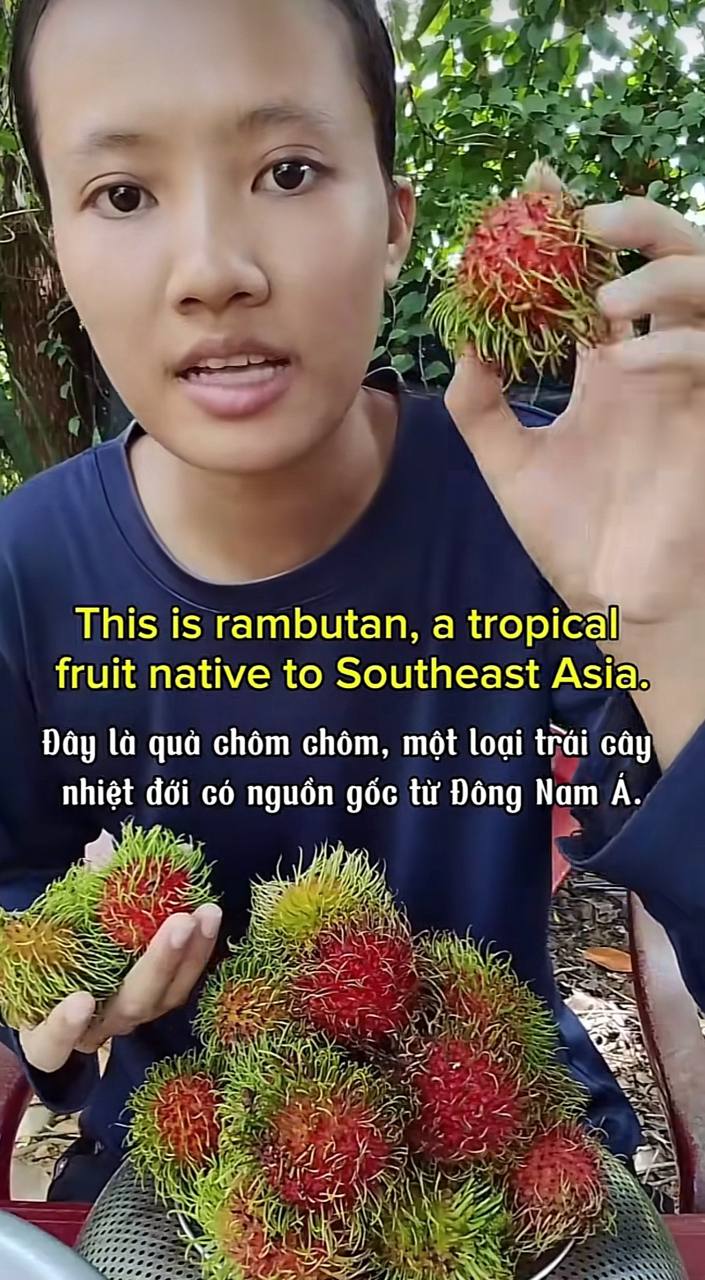 Cô gái bán trứng cút 45.000 đồng/kg nói tiếng Anh như gió, dân mạng thốt lên: “Thị trường lao động khốc liệt quá!”- Ảnh 7.
