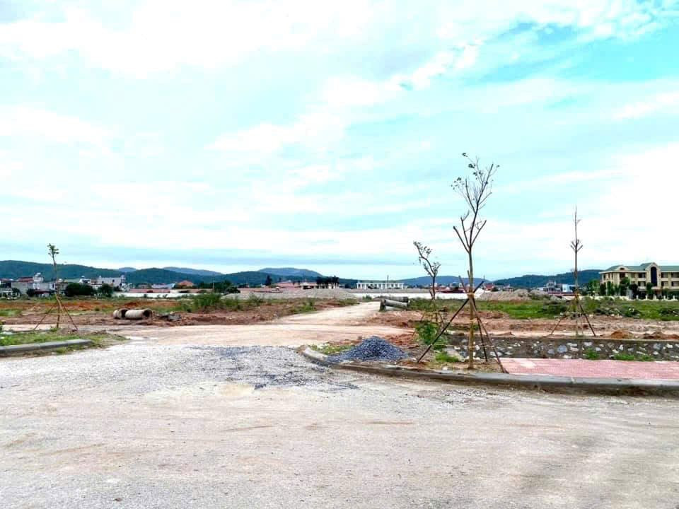 Chuyên gia Savills: Đổi mới cơ chế định giá đất sẽ “xoá bỏ” điểm nghẽn thị trường- Ảnh 1.