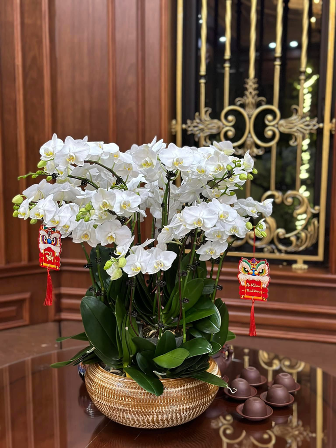 Căn nhà ở quê của Văn Toàn- Ảnh 8.