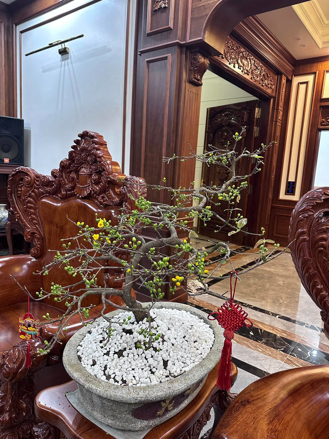 Căn nhà ở quê của Văn Toàn- Ảnh 7.