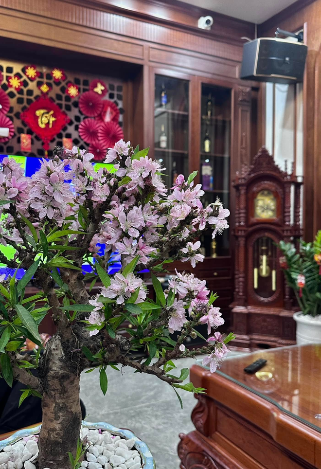 Căn nhà ở quê của Văn Toàn- Ảnh 6.