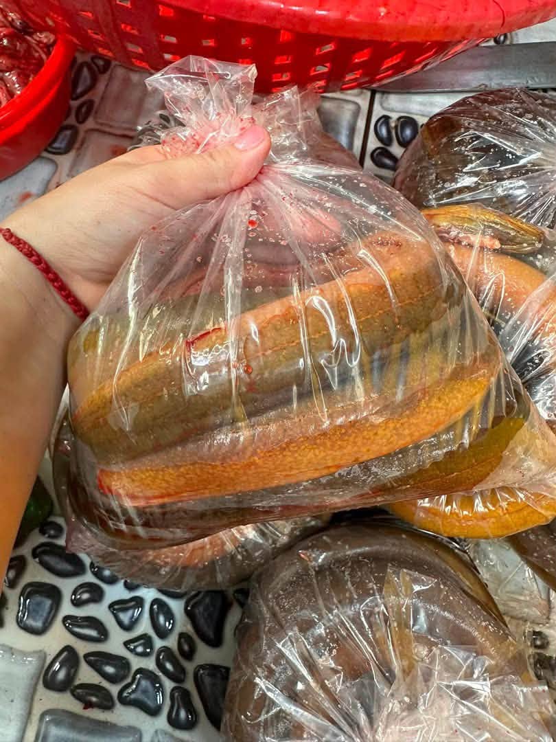 Chủ cửa hàng thủy sản 20 năm nói thẳng: 4 loại lươn chỉ người "dại" mới bỏ tiền mua- Ảnh 3.