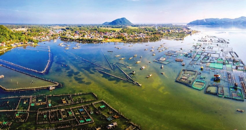 Phát hiện hệ đầm phá nước lợ thuộc dạng hiếm trên thế giới ở tỉnh miền Trung: Diện tích lớn nhất Đông Nam Á, liên kết trực tiếp với rừng nguyên sinh ngập mặn - Ảnh 1.