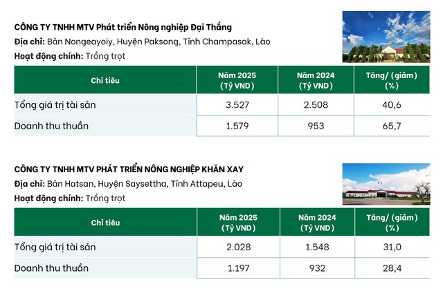 Bất ngờ với mức lương Công ty bầu Đức trả cho lao động tại Lào- Ảnh 2. Bất ngờ với mức lương Công ty bầu Đức trả cho lao động tại Lào- Ảnh 2.