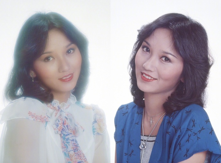 'Người đẹp cổ trang' từng là tiếp viên hàng không, U80 vẫn là biểu tượng sắc đẹp- Ảnh 1.