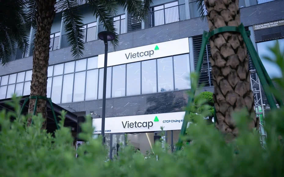 VietCap đầu tư hơn 389 tỷ đồng vào Hadasa Holdings của bà Trương Nguyễn Thiên Kim - Ảnh 1.