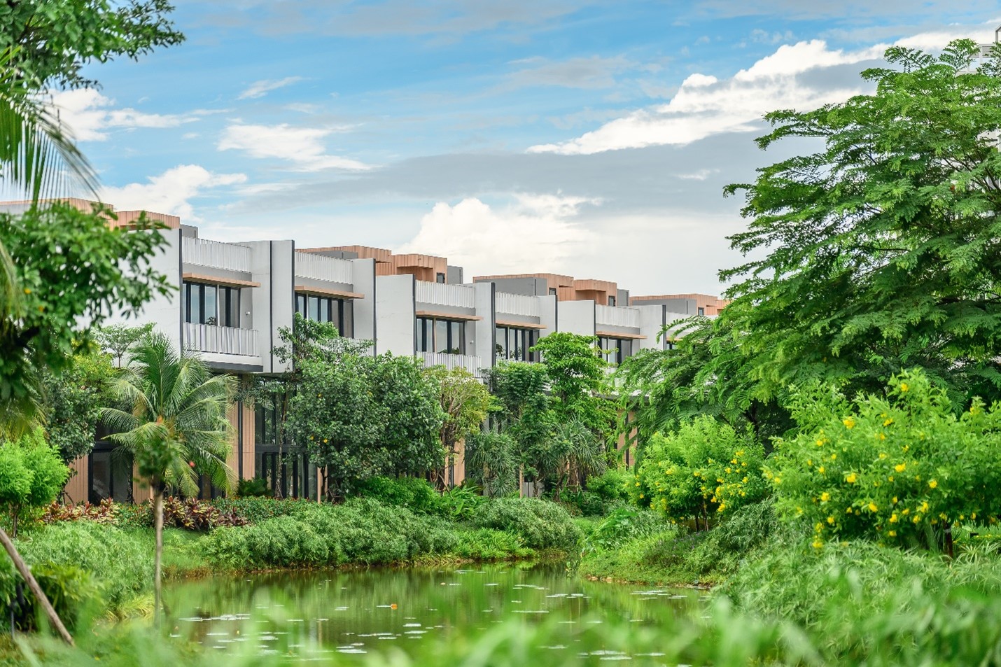 Ba cây cầu giúp Đại Phước tận dụng thế ‘sát vách’ TP HCM - Ảnh 8. Ba cây cầu giúp Đại Phước tận dụng thế ‘sát vách’ TP HCM - Ảnh 8.