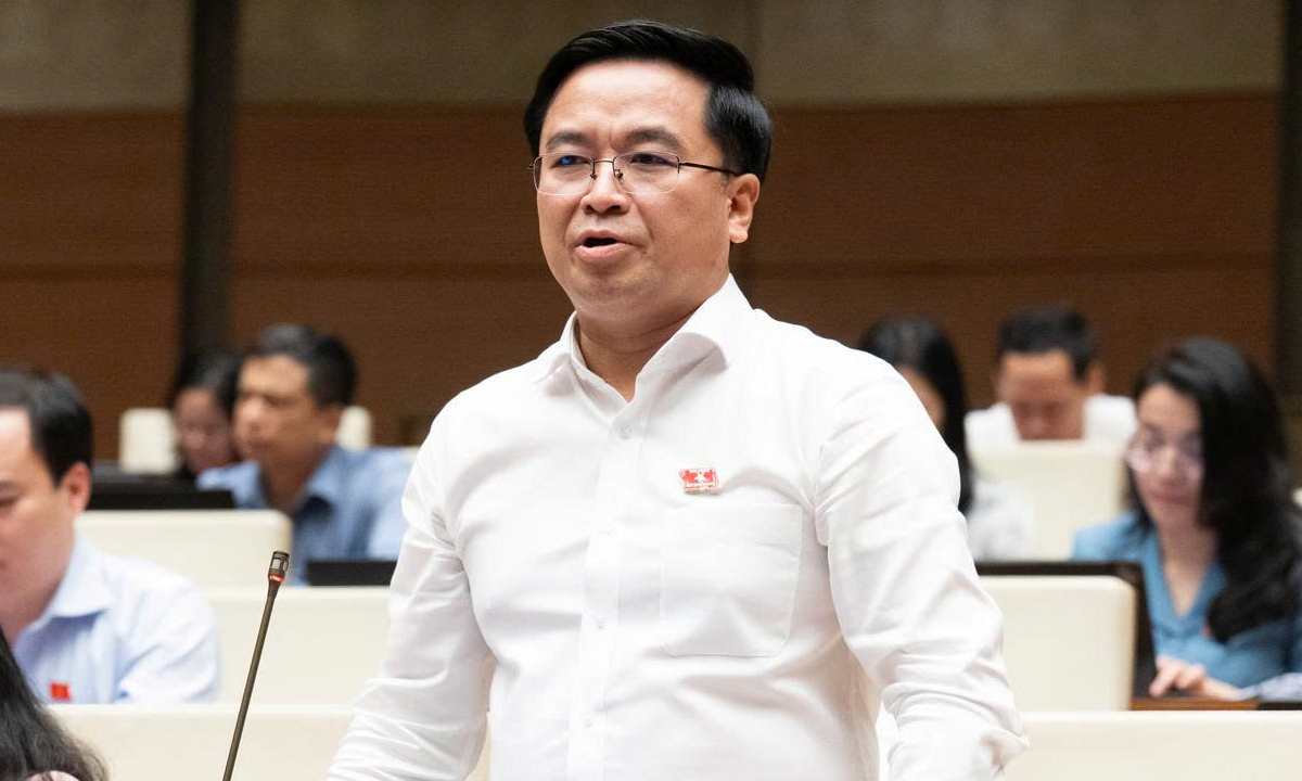 ĐBQH: Phát triển nhà cho thuê, nhiều người dân sẽ có nhà ở như mong ước- Ảnh 1.