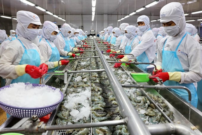 Xuất khẩu đồ ăn sang Bắc Mỹ tăng trưởng 45% lên hơn 100 triệu USD, một doanh nghiệp trên sàn báo lợi nhuận nửa đầu 2026 tăng 2,4 lần- Ảnh 3.