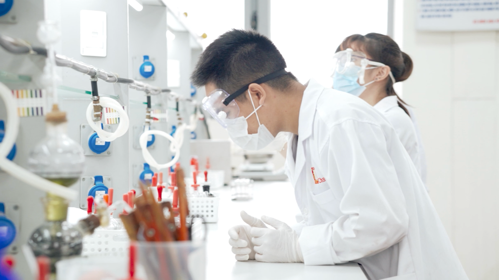 Tin vui: Từ 2027 tới 2035, 1.500 sinh viên, nhà khoa học trẻ trên cả nước có cơ hội nhận học bổng 100%- Ảnh 1. Tin vui: Từ 2027 tới 2035, 1.500 sinh viên, nhà khoa học trẻ trên cả nước có cơ hội nhận học bổng 100%- Ảnh 1.
