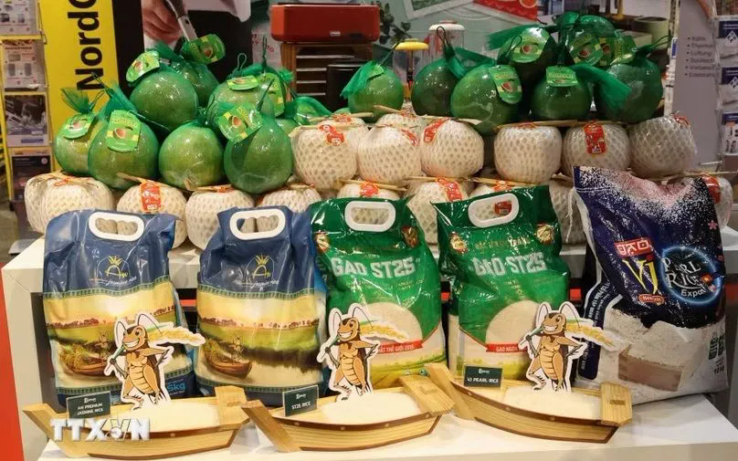 Gạo ST25 vào hệ thống siêu thị bán buôn tại Đức - Ảnh 1.