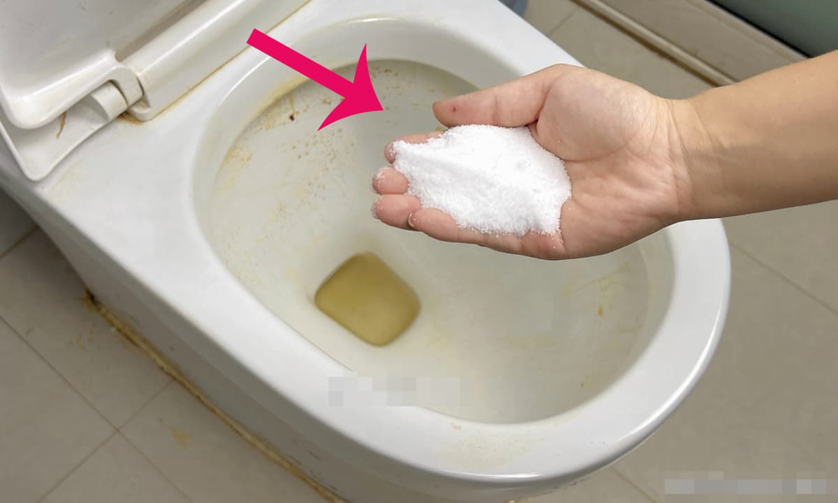 Vì sao nên đổ muối vào bồn cầu khi bị tắc nghẽn?- Ảnh 2.