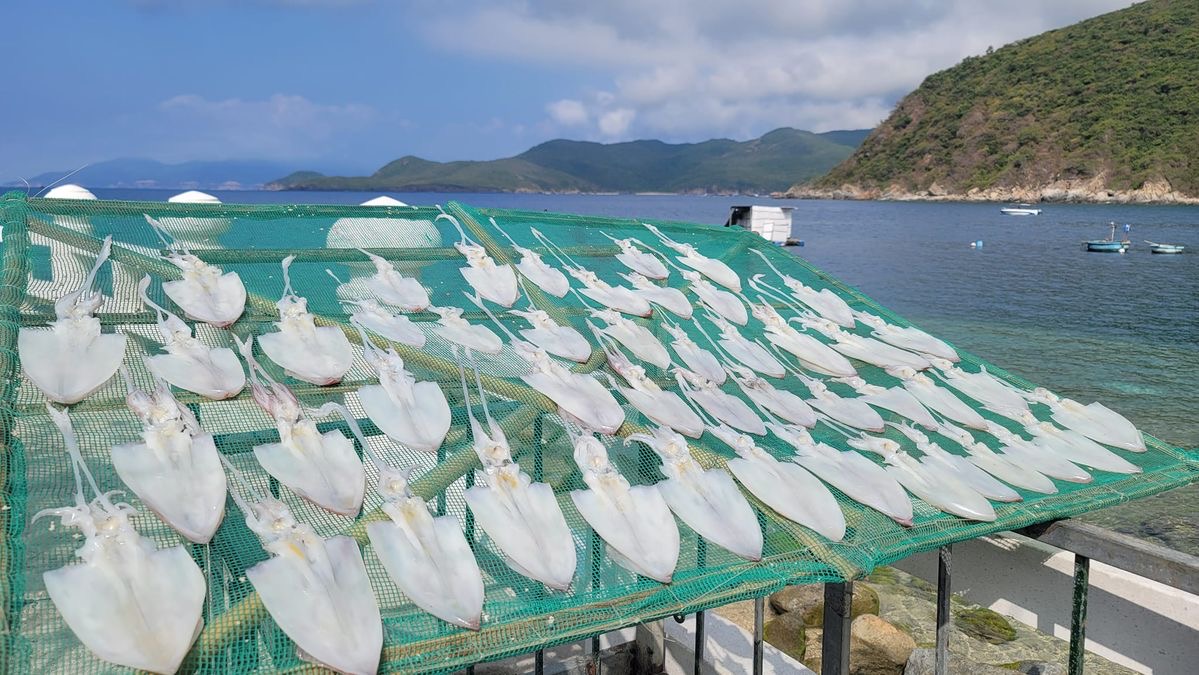 Địa điểm được truyền tai nhau là nơi có nước biển trong nhất Việt Nam, đến nay vẫn chưa từng có khách sạn nào- Ảnh 10.