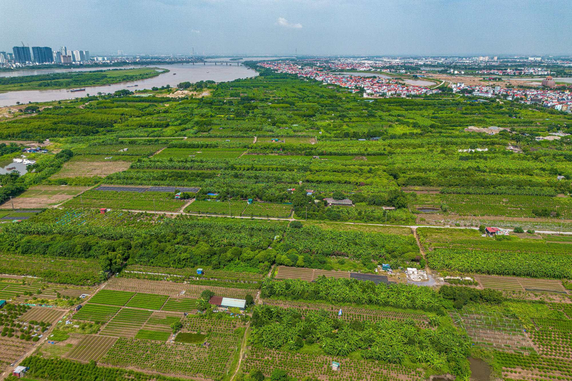 Toàn cảnh khu đất nơi liên danh Vingroup có thể xây tháp đôi nhiều tầng nhất thế giới, diện tích sàn gấp hơn 2 lần Burj Khalifa - Ảnh 6.