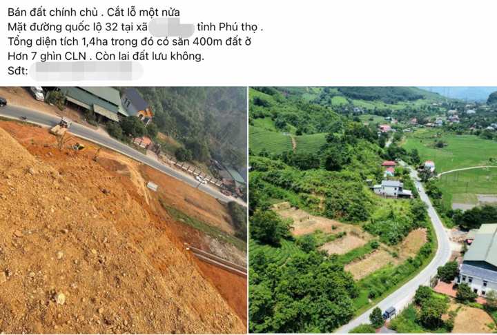 Sau cơn sốt 'bỏ phố về rừng', bất động sản trang trại giảm giá vẫn ế khách mua- Ảnh 1.