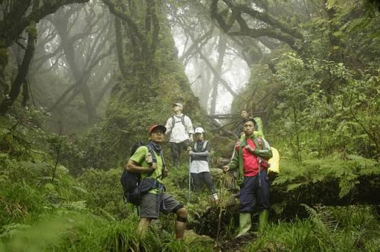 Đỉnh núi ở miền Trung đang được đề xuất xây khu du lịch như 