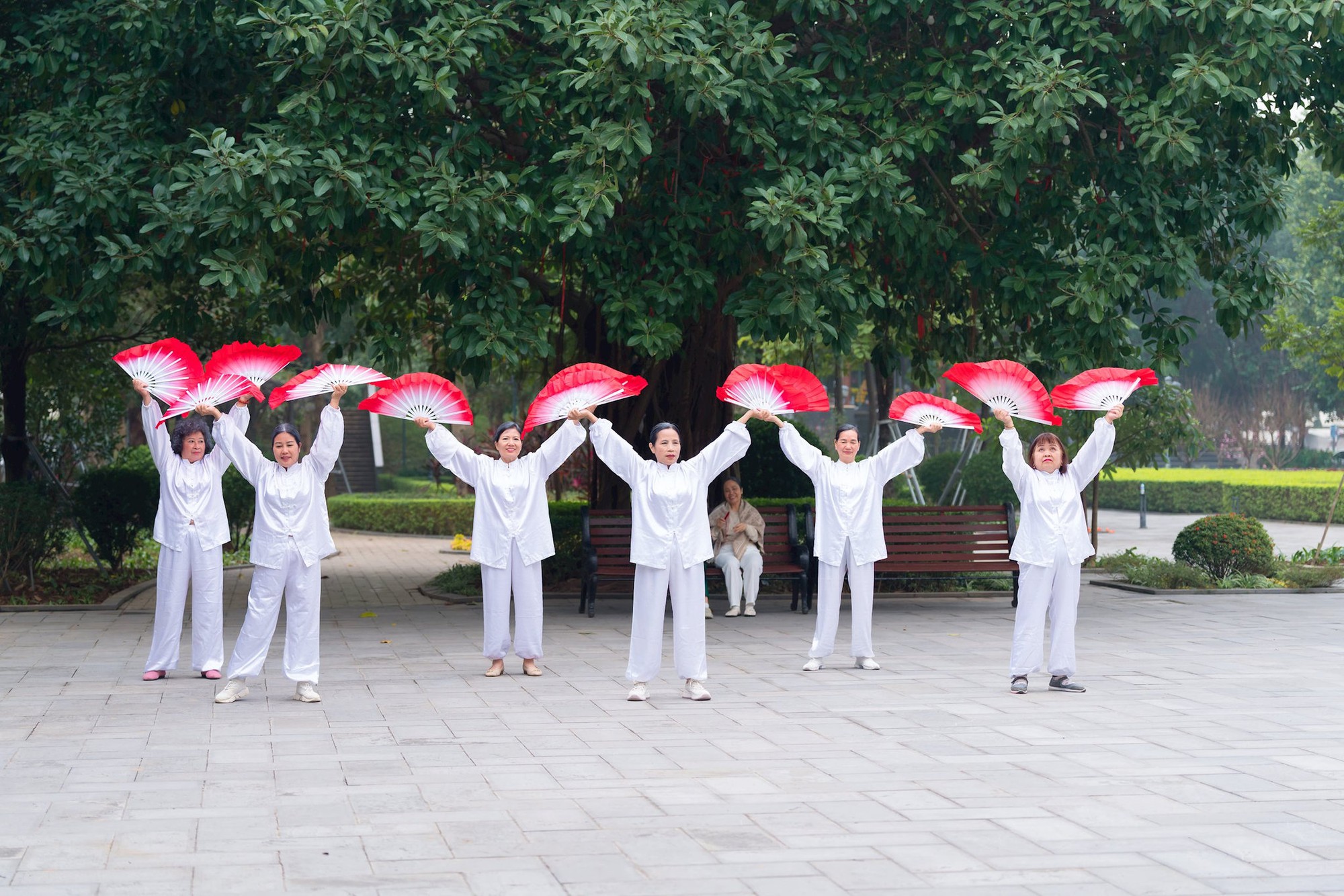 Hà Nội có 1 viện dưỡng lão - nghỉ dưỡng được đầu tư 800 tỷ đồng: Kết nối thẳng với bệnh viện, cung cấp cả dịch vụ bán trú "sáng đi, chiều về"- Ảnh 8.