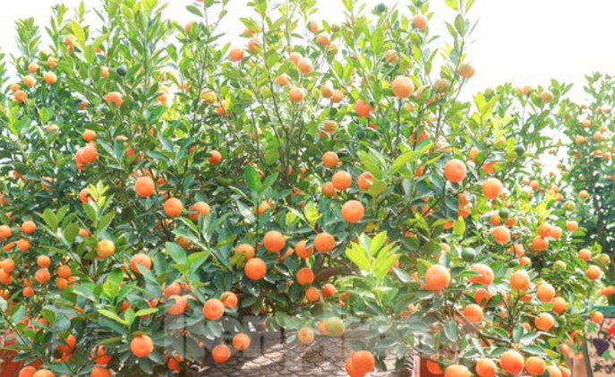 Sau Rằm tháng 7, 3 con giáp vượt qua giai đoạn khó khăn, gặp quý nhân của đời nhưng cần thận trọng kẻo vướng rắc rối - Ảnh 3.