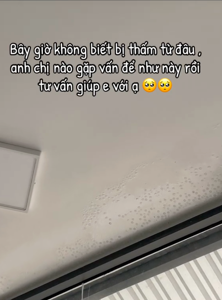 Nhà mới xây 2 năm đã loang lổ vì mưa kéo dài: Vì sao càng đục tường trát lại càng khó hết thấm?- Ảnh 3.